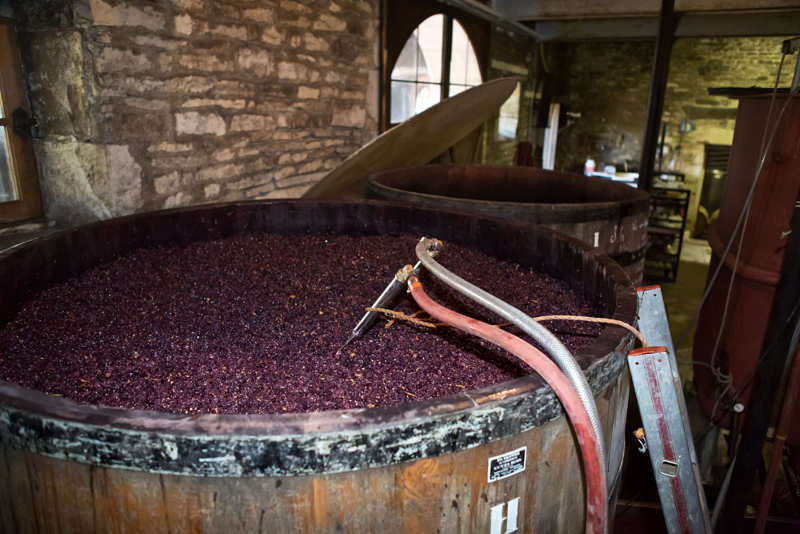 TPE Du raisin au vin IILes étapes de la fabrication du vin
